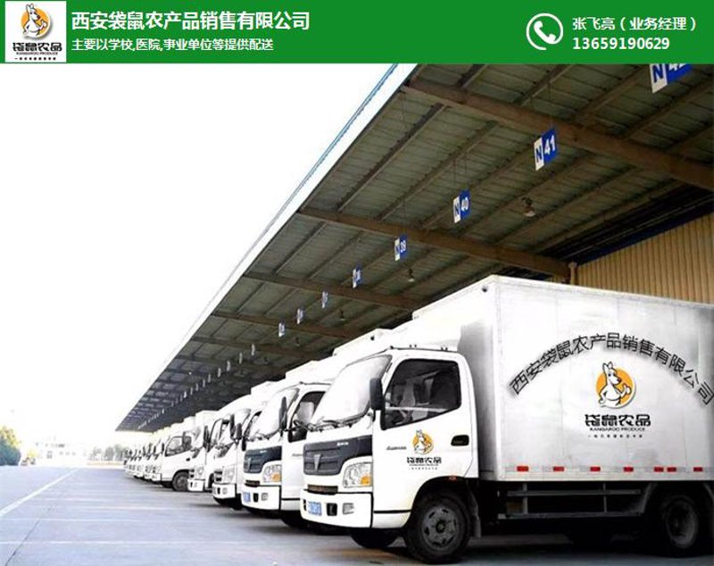 清洁用品批发市场洞察:从传统到现代的飞跃
